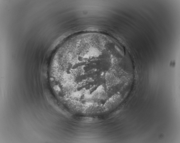 X0000113860347200910221446