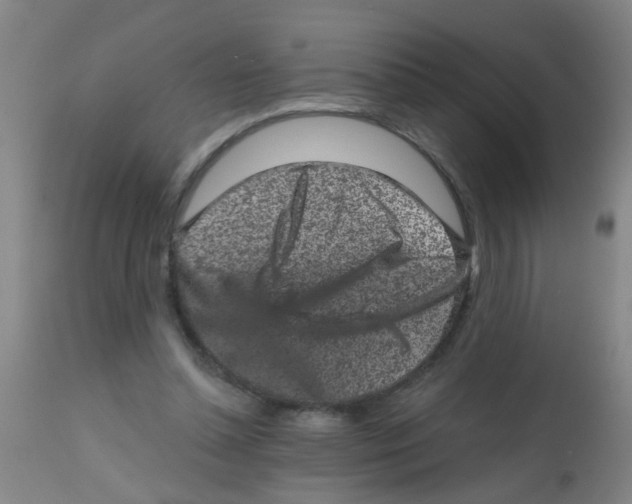 X0000113860348200910221446