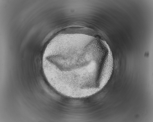 X0000113860349200910221446
