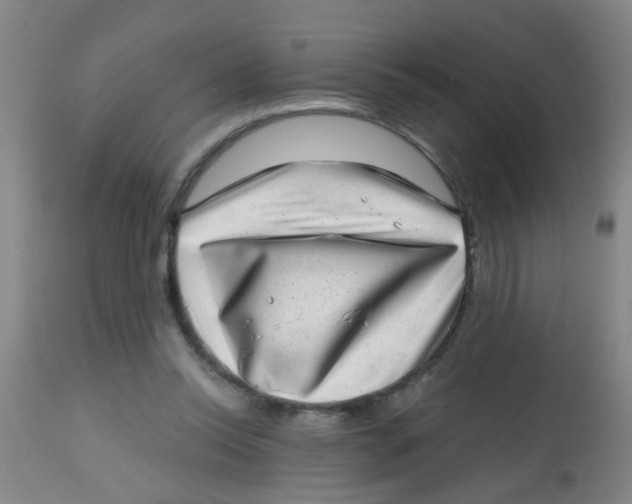 X0000113860350200910221446