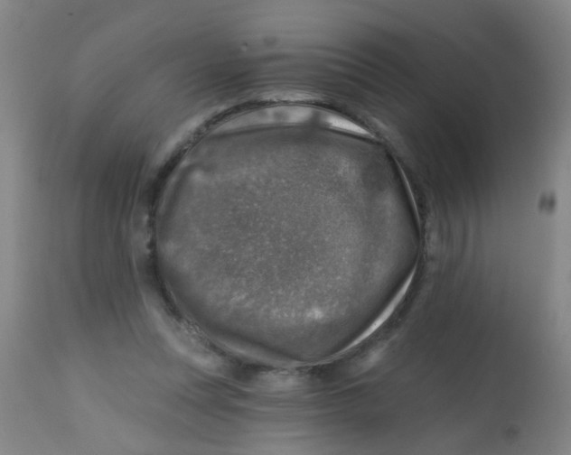 X0000113860351200910221446