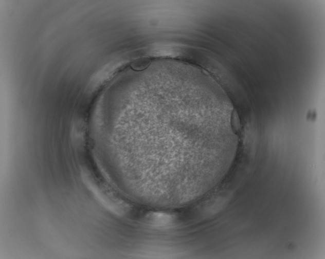 X0000113860352200910221446