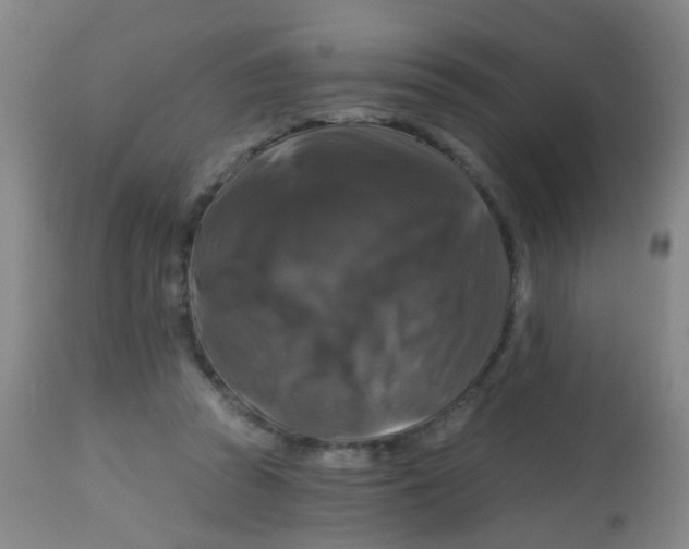 X0000113860353200910221446