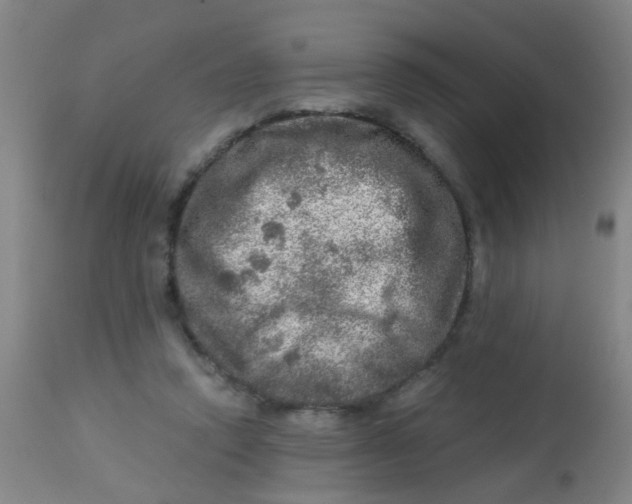 X0000113860354200910221446