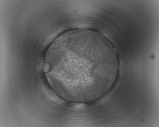 X0000113860355200910221446