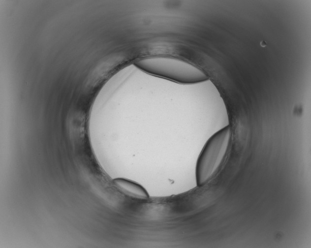 X0000113860356200910221446