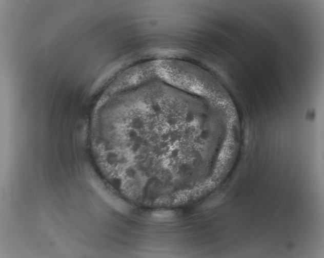 X0000113860357200910221446