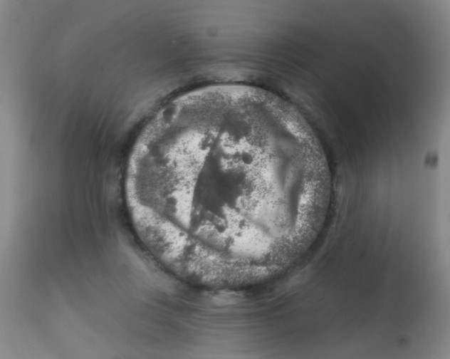 X0000113860359200910221446