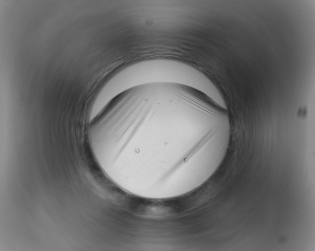 X0000113860360200910221446