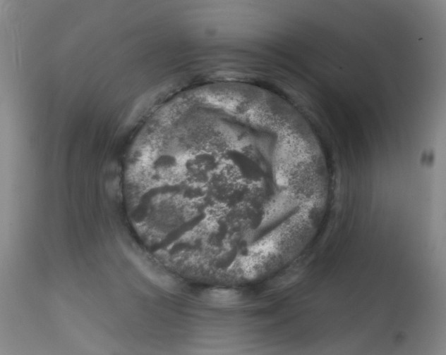 X0000113860361200910221446