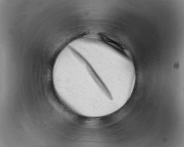 X0000113860362200910221446