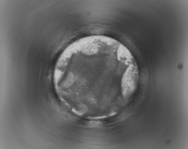 X0000113860363200910221446