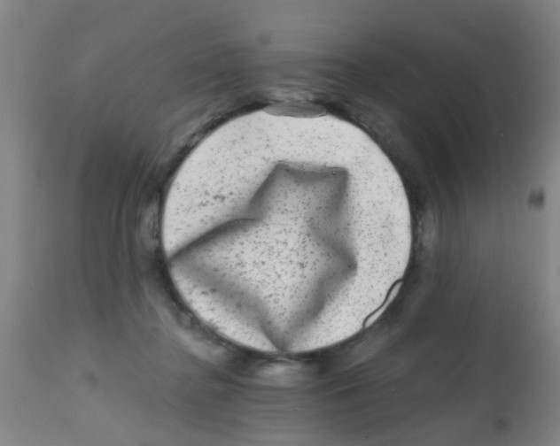 X0000113860364200910221446