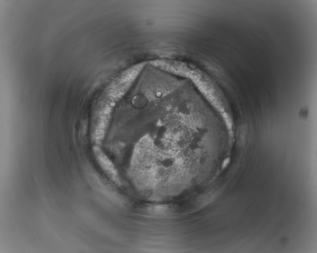 X0000113860365200910221446