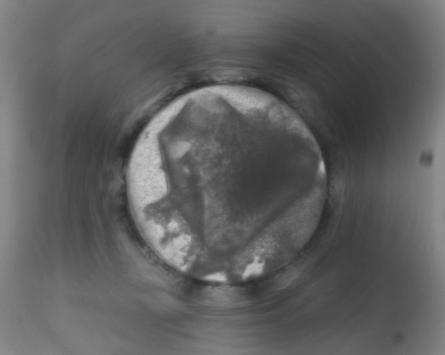 X0000113860367200910221446