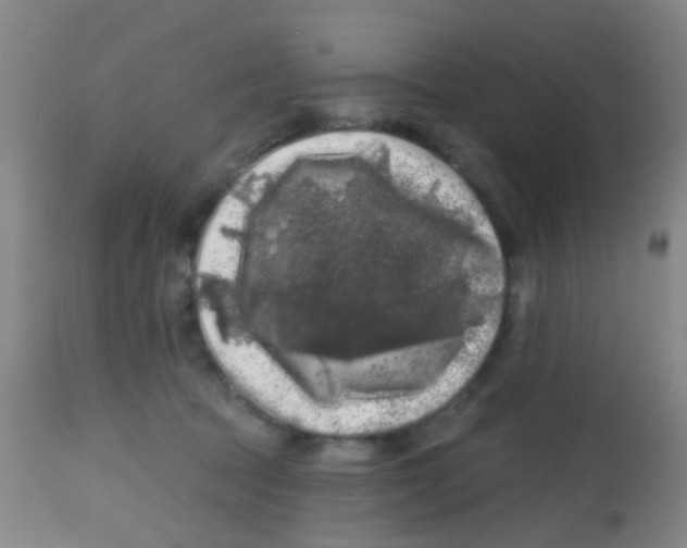 X0000113860369200910221446