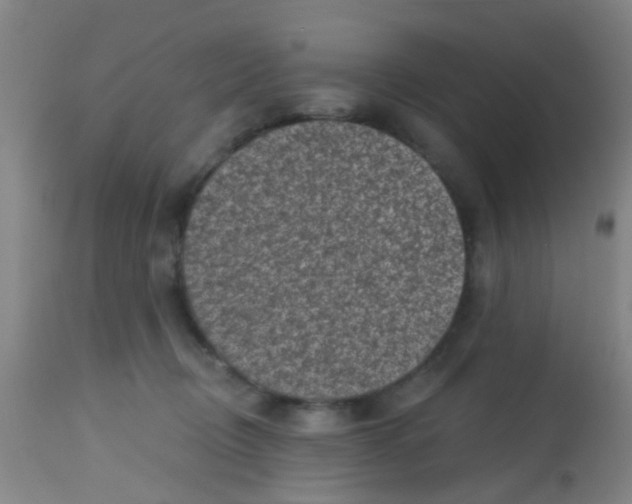 X0000113860370200910221446