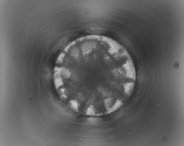 X0000113860371200910221446