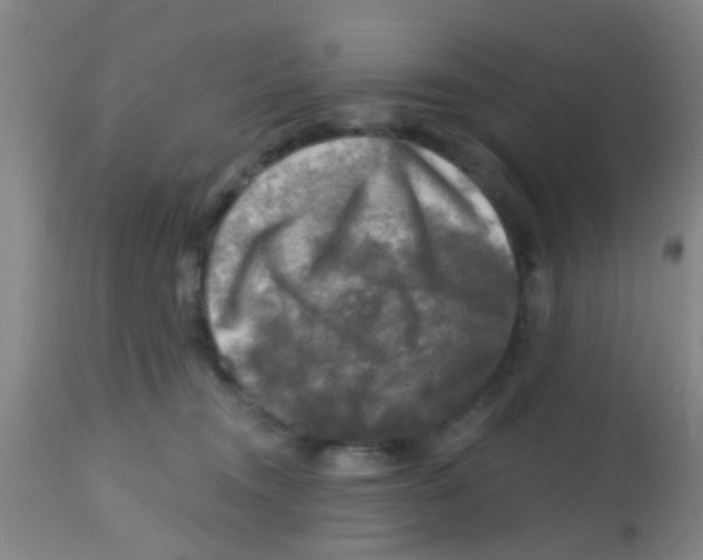 X0000113860372200910221446