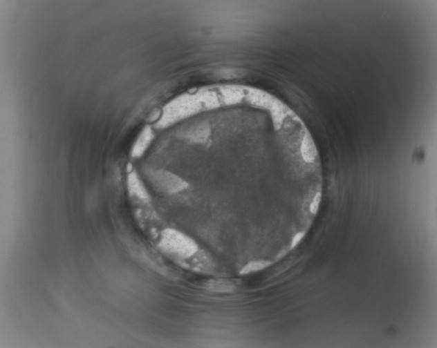 X0000113860373200910221446
