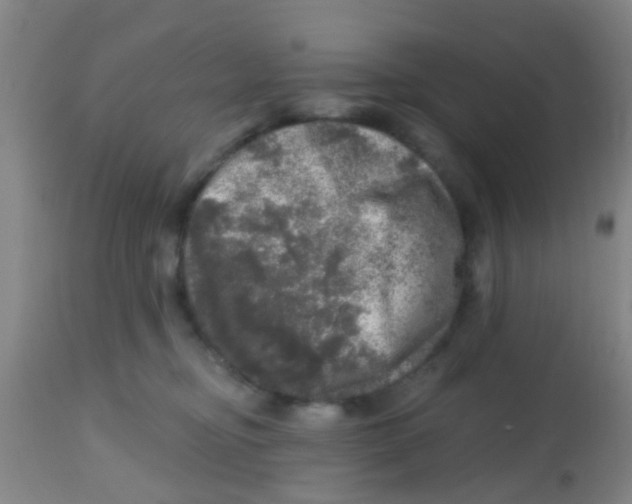 X0000113860374200910221446