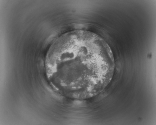 X0000113860375200910221446