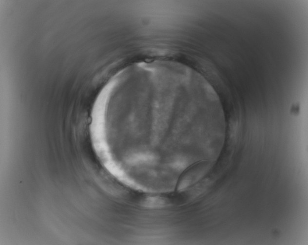X0000113860376200910221446