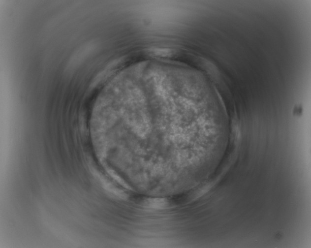 X0000113860377200910221446