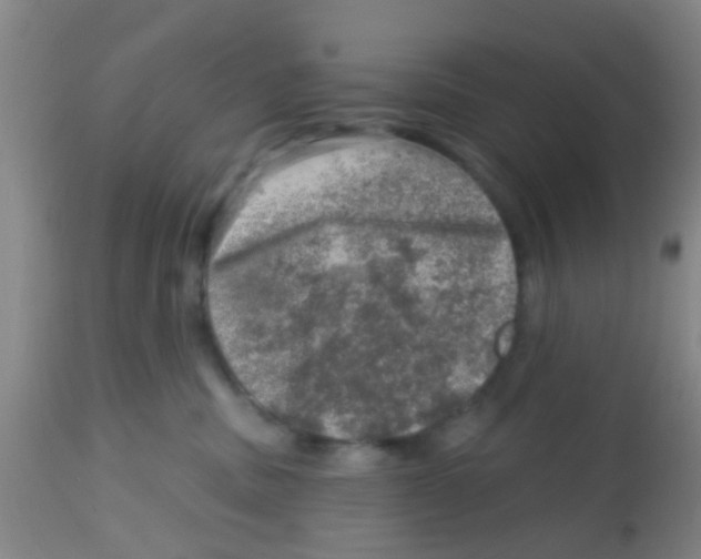 X0000113860379200910221446