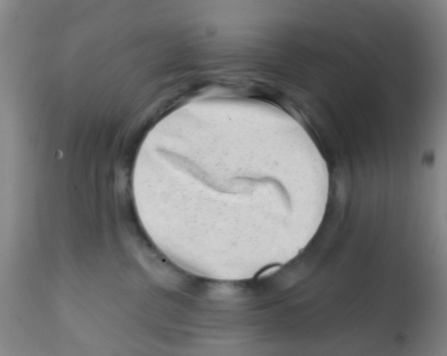 X0000113860380200910221446