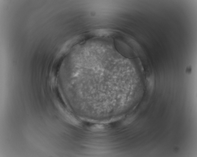 X0000113860381200910221446