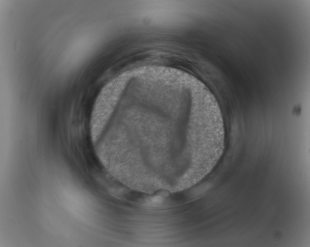 X0000113860382200910221446