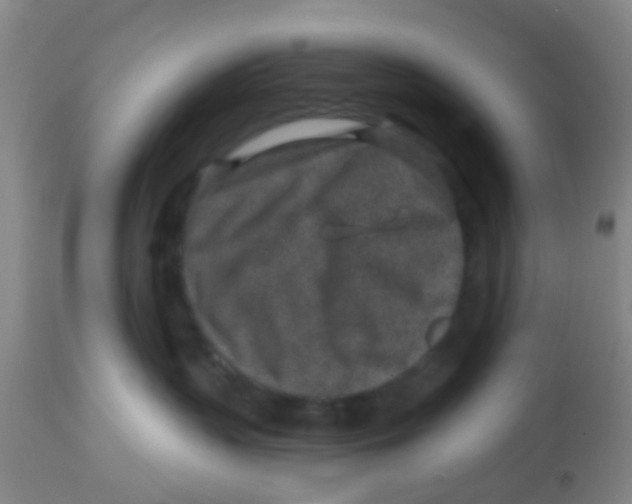 X0000113860383200910221446