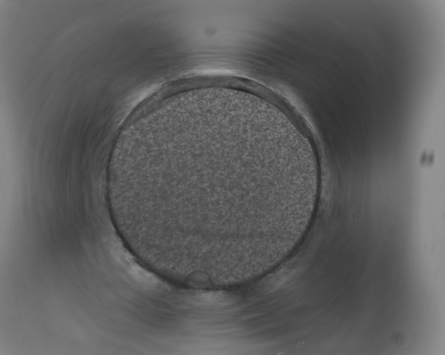 X0000113860385200910221446