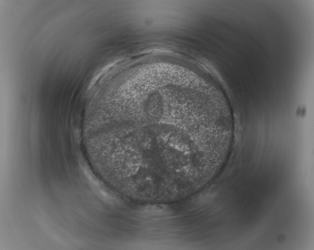 X0000113860386200910221446
