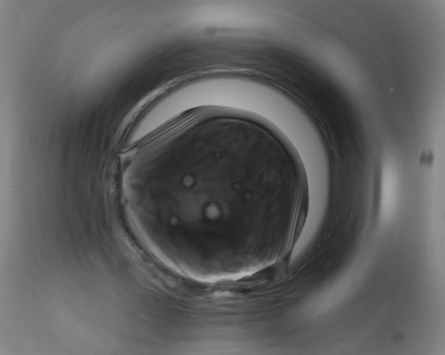 X0000113860387200910221446
