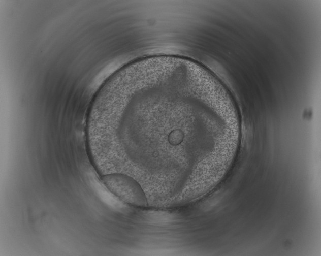 X0000113860389200910221446