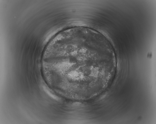 X0000113860390200910221446