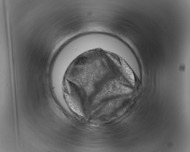 X0000113860391200910221446