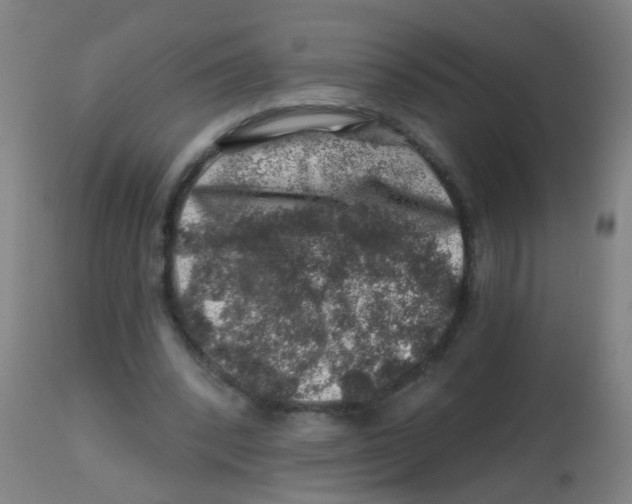 X0000113860392200910221446