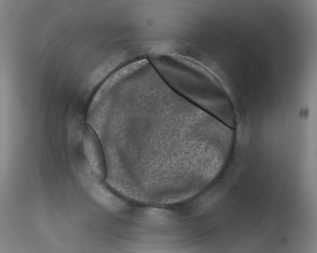 X0000113860393200910221446
