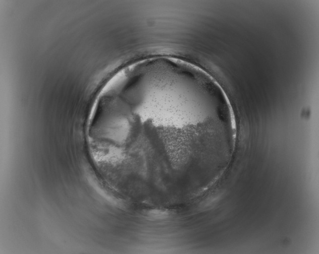 X0000113860394200910221446