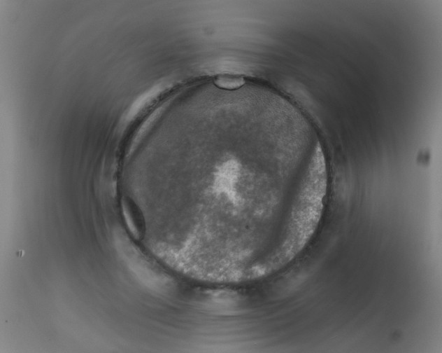 X0000113860395200910221446
