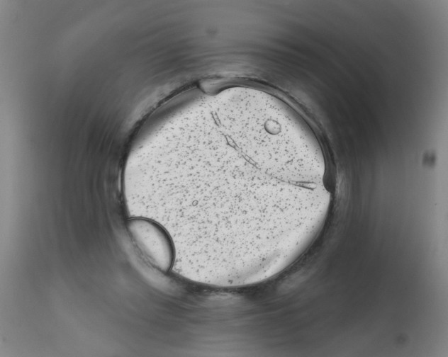 X0000113860397200910221446