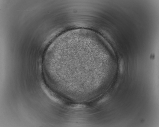 X0000113860398200910221446