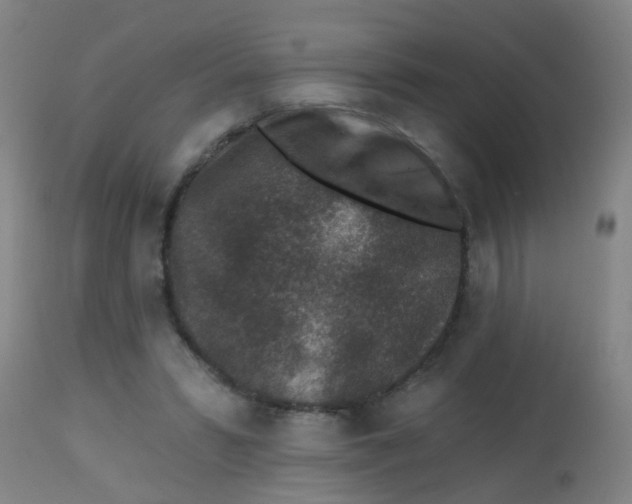 X0000113860399200910221446