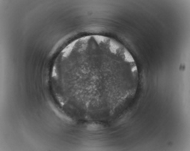 X0000113860400200910221445