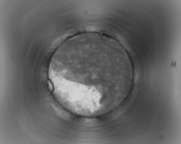 X0000113860401200910221445