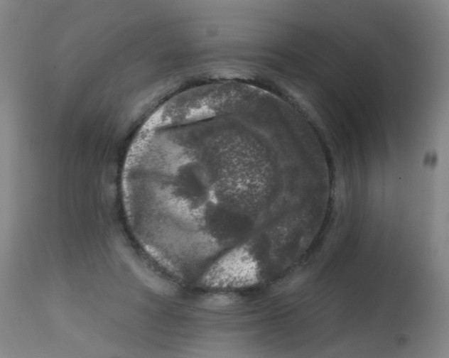 X0000113860402200910221445