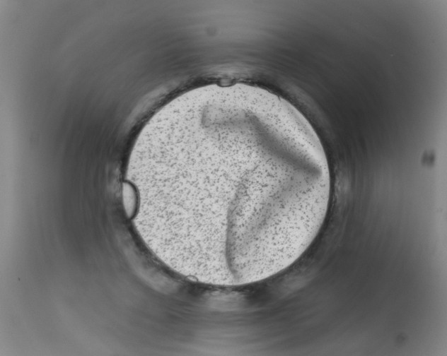 X0000113860403200910221445